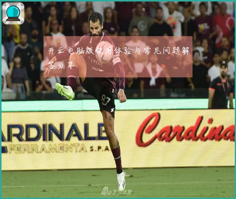 开云电脑版使用体验与常见问题解答分享