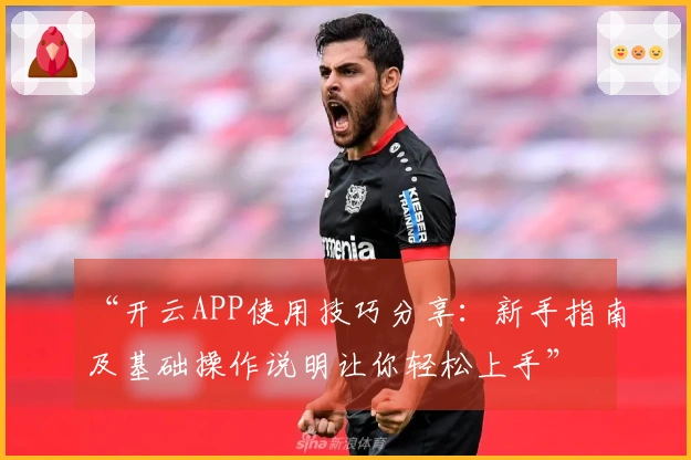 “开云APP使用技巧分享：新手指南及基础操作说明让你轻松上手”