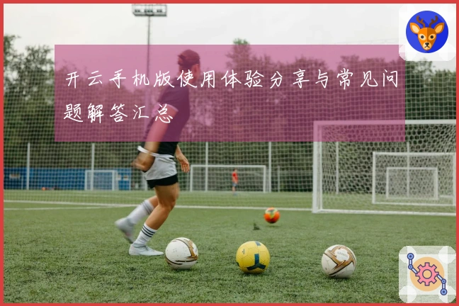 开云手机版使用体验分享与常见问题解答汇总